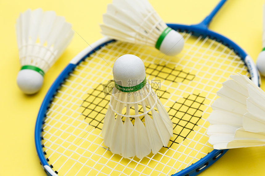 场上的专注 场上的专注