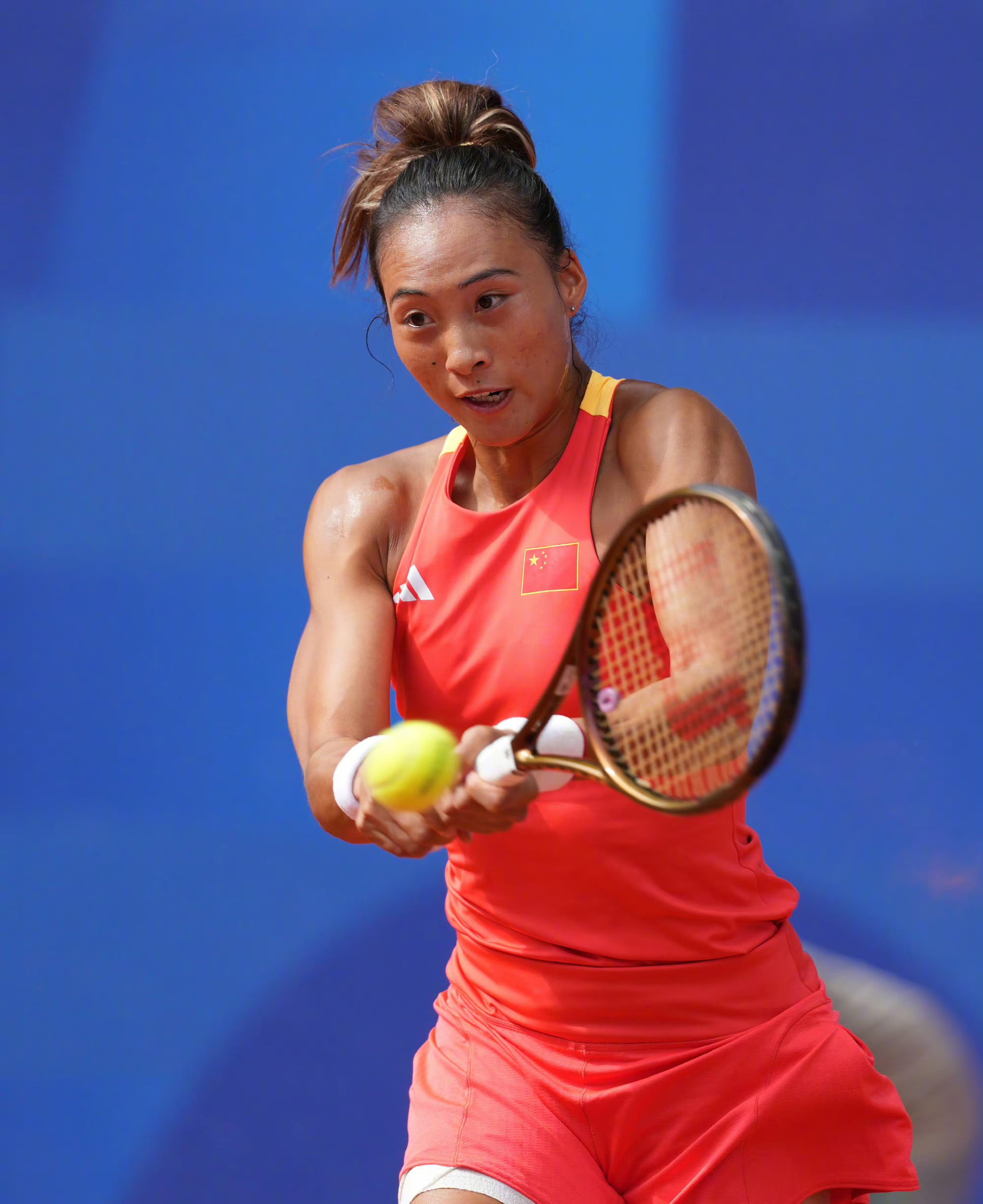 他的职业生 他的职业生