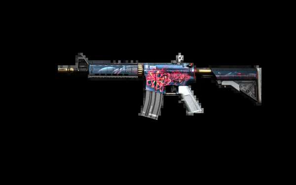 我们期待他 我们期待他