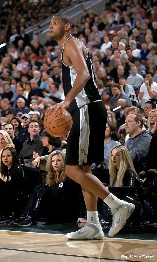 鹈鹕的有效 鹈鹕的有效