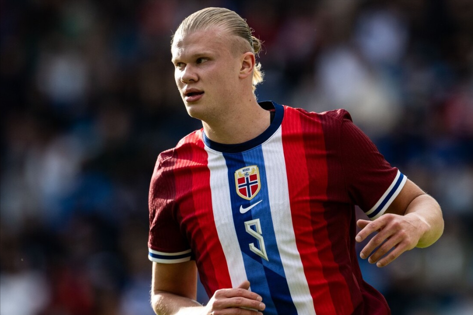 对森林而言 对森林而言